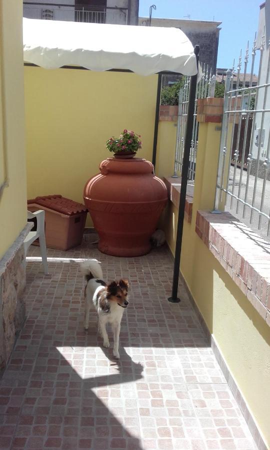 B&B A Casa Di Antonella 스카우리 외부 사진